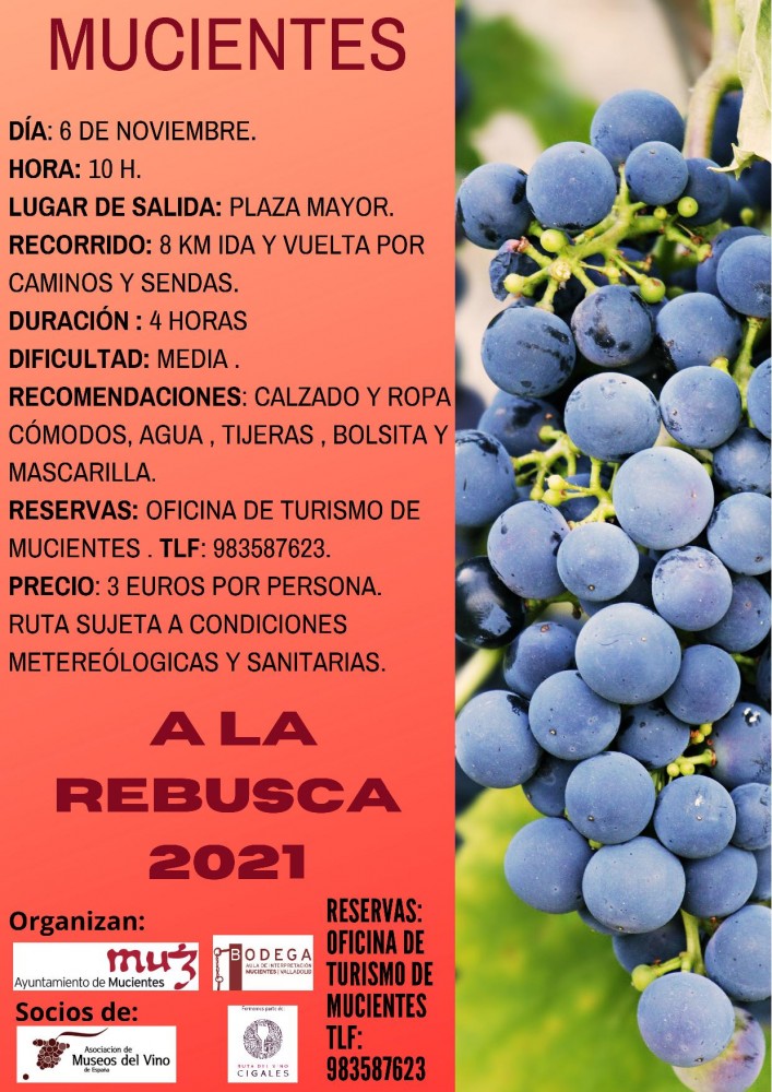 A la rebusca 2021 ok